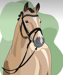 WildOaks Riding Academy