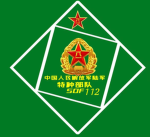 第112特种行动连