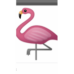 The flamingos 2020