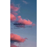 Serendipity Horse Riding Academy!