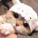 -aesthetic kittns-