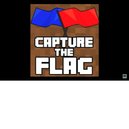 🚩capture the flag🚩