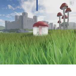 explore the castle!