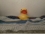 Rocky’s Duck Donations