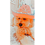 robloxgirl1678
