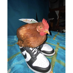 RP