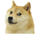ROBLOX-THE BEST