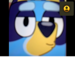 Bluey squad 12345