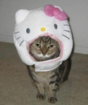 Kat Litter Clothing