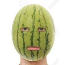 ＷＡＴＥＲＭＥＬＯＮ🍉 icon