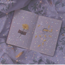 ✨