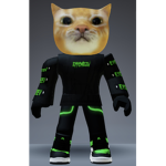 Rayne Cat group