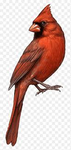 The Red Birds (owned by menaal)