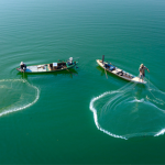 My Fishery