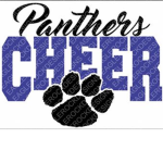 Cheer Carolina Panthers <3