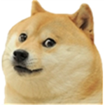 THE-DOGS-ARMY