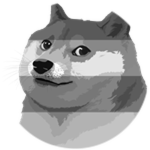 Racer Doge