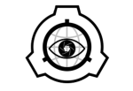 Foundation Information & Security Bureau