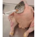 Kiwi_dreemurr1 gang