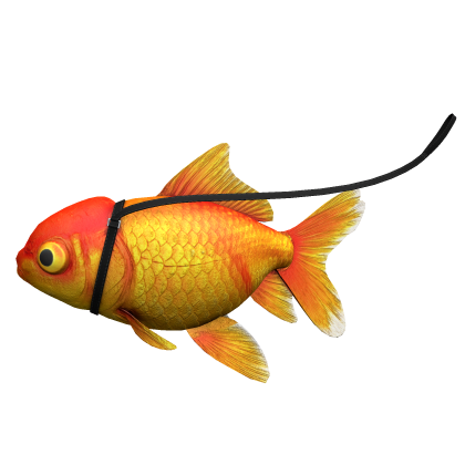 Goldfish on a leash
