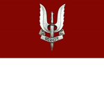 IR | Special Protection Group