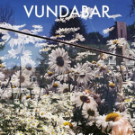 Vundafam