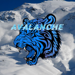 Avalanche 雪崩