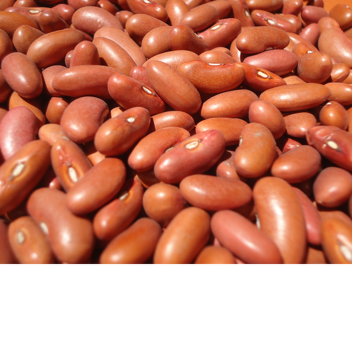 cool game should play