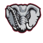Detroit Raging Elephants Basketball