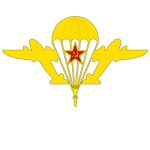 Troop Carrier Division