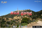 R.E.D. GANG!