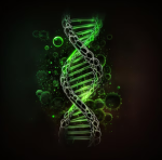 Mutation Rushers