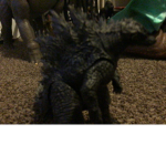 T. rex team