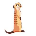 Unusual Meerkats