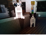 Puppy place woof woof
