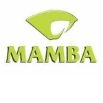 Mamba Security.