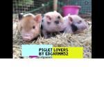 Piglets by edgarmm52