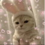 cat._.squad._.