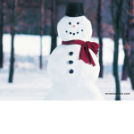 Snowman DEV