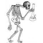 Skeleton's cothing center