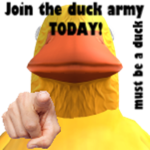 Ducks+