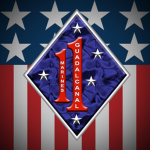 1st Marine Regiment [USAF]