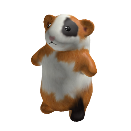 🐹 Guinea Pig Suit 🐹