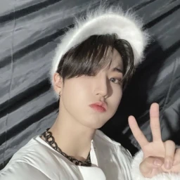 ˚ʚ *˚✧. icon