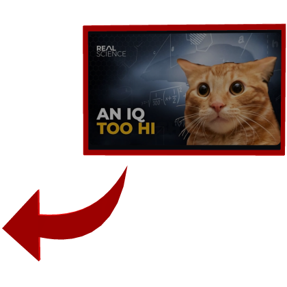 An IQ Too Hi Cat Red Circle