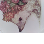 Kitty's hedgehog group