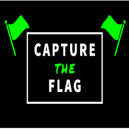 Capture The Flag (Free Coils)