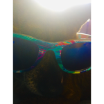 Summer Dog
