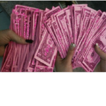 P!NK CA$H