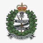 CAA | Intelligence Corps